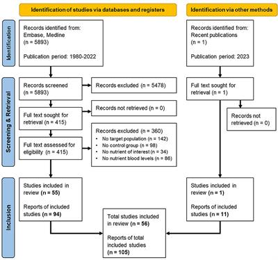 Stroke patients have lower blood levels of nutrients that are relevant for recovery: a systematic review and meta-analysis
